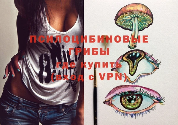 сатива Алексин