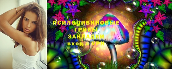 дурь Алзамай
